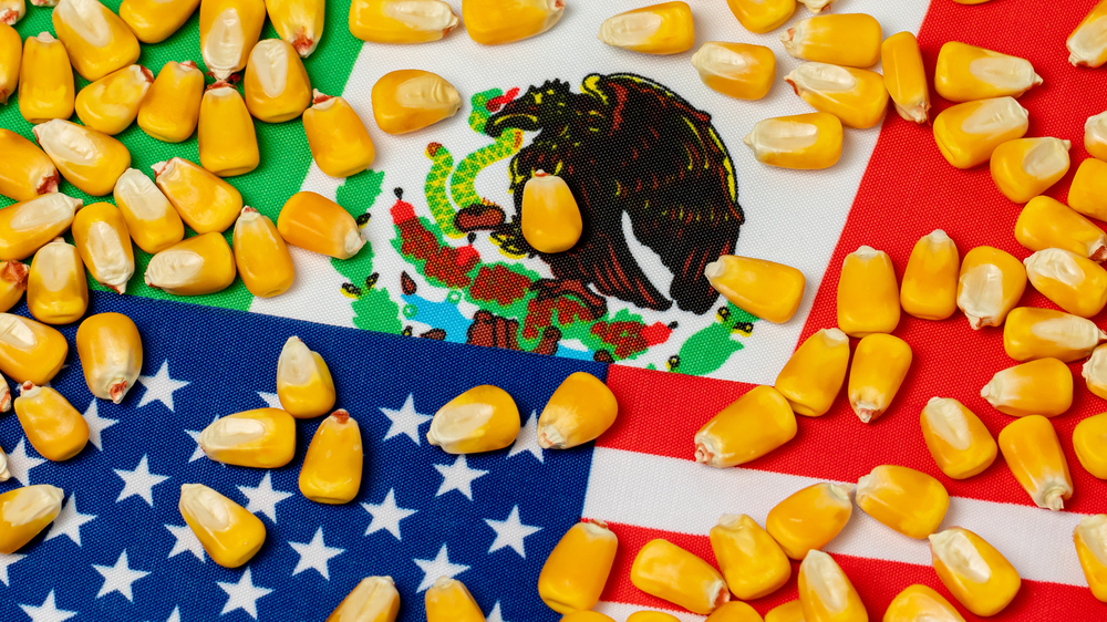 United States ravaged Mexico